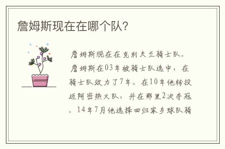 詹姆斯现在在哪个队?
