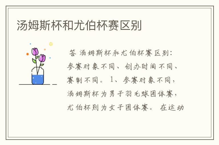汤姆斯杯和尤伯杯赛区别