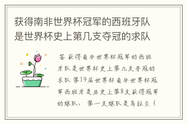 获得南非世界杯冠军的西班牙队是世界杯史上第几支夺冠的求队
