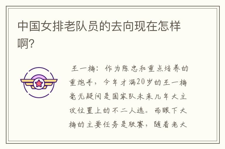 中国女排老队员的去向现在怎样啊?