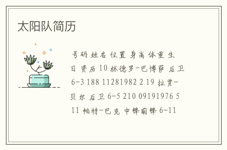 太阳队简历