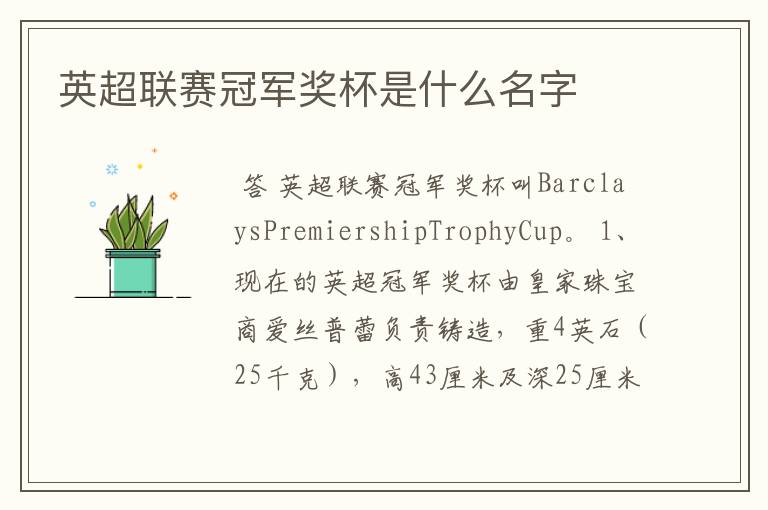 英超联赛冠军奖杯是什么名字