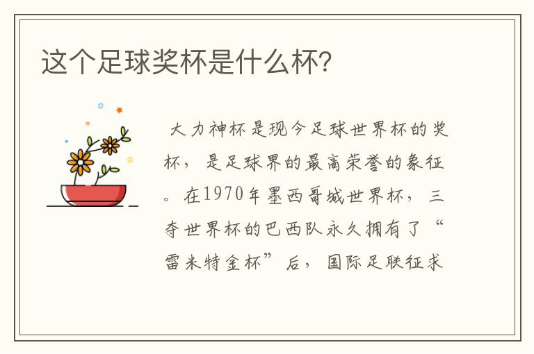 这个足球奖杯是什么杯?