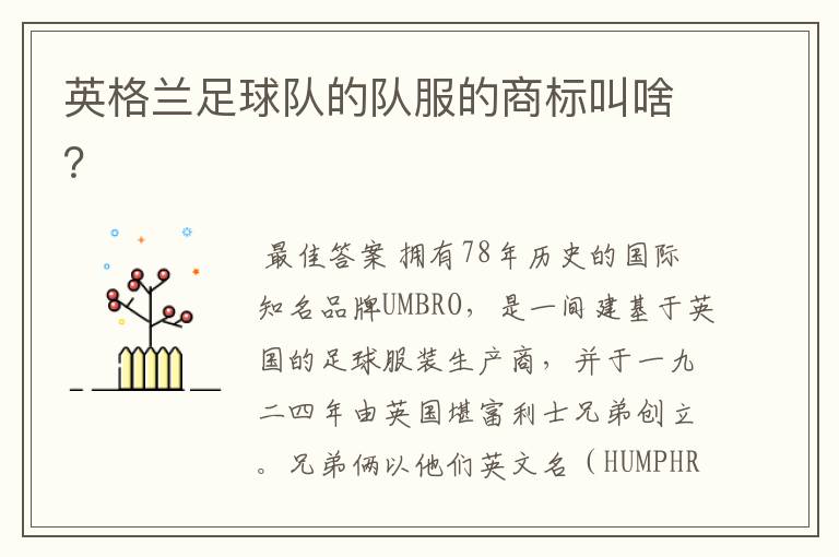英格兰足球队的队服的商标叫啥?