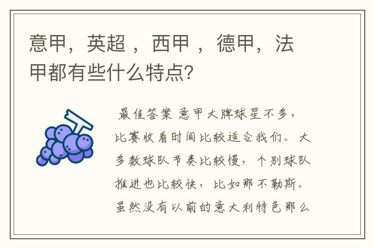 意甲,英超 ,西甲 ,德甲,法甲都有些什么特点?