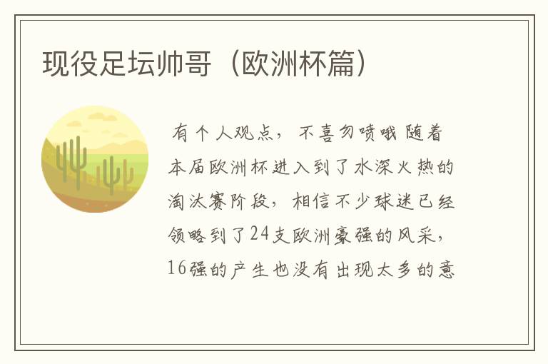 现役足坛帅哥(欧洲杯篇)
