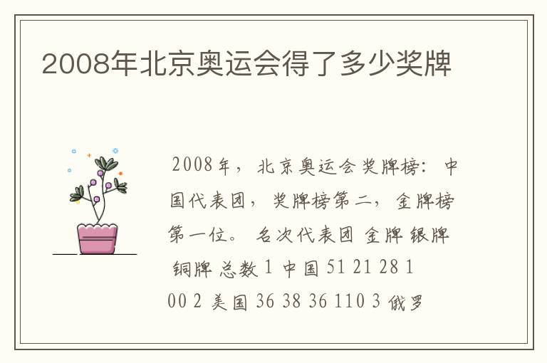 2008年北京奥运会得了多少奖牌