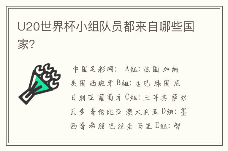 U20世界杯小组队员都来自哪些国家?