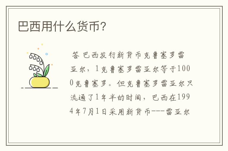 巴西用什么货币?