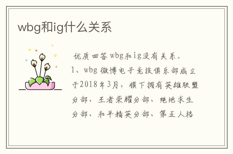 wbg和ig什么关系