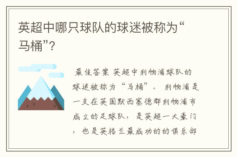 英超中哪只球队的球迷被称为“马桶”?