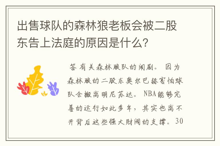 出售球队的森林狼老板会被二股东告上法庭的原因是什么?