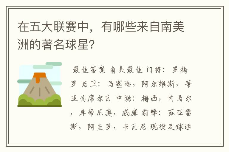 在五大联赛中，有哪些来自南美洲的著名球星？