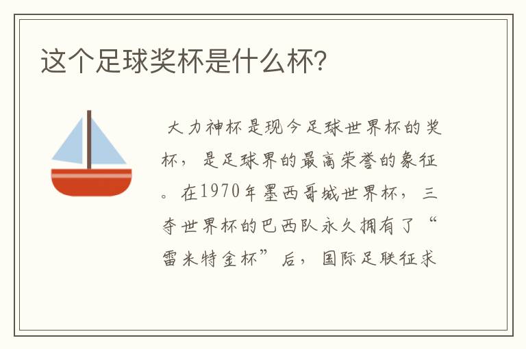 这个足球奖杯是什么杯?