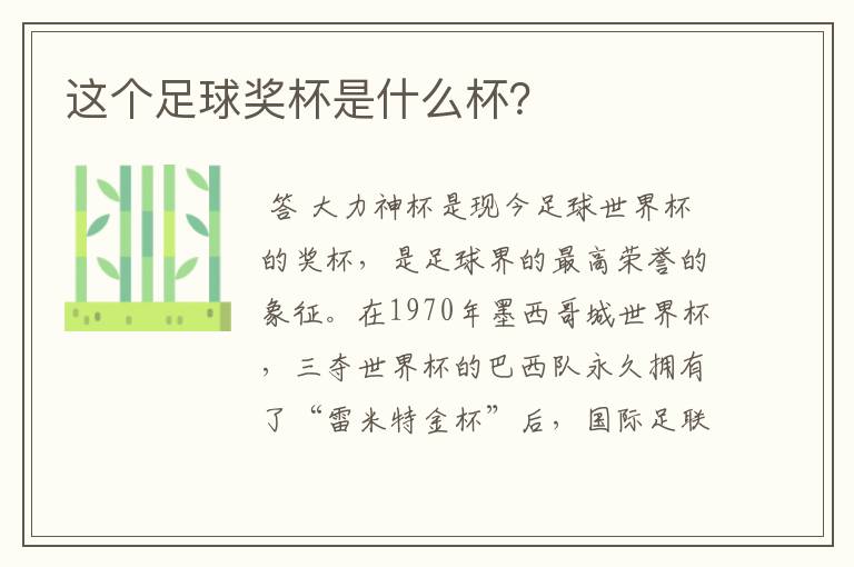 这个足球奖杯是什么杯?