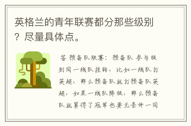 英格兰的青年联赛都分那些级别?尽量具体点。