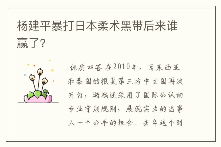 杨建平暴打日本柔术黑带后来谁赢了?