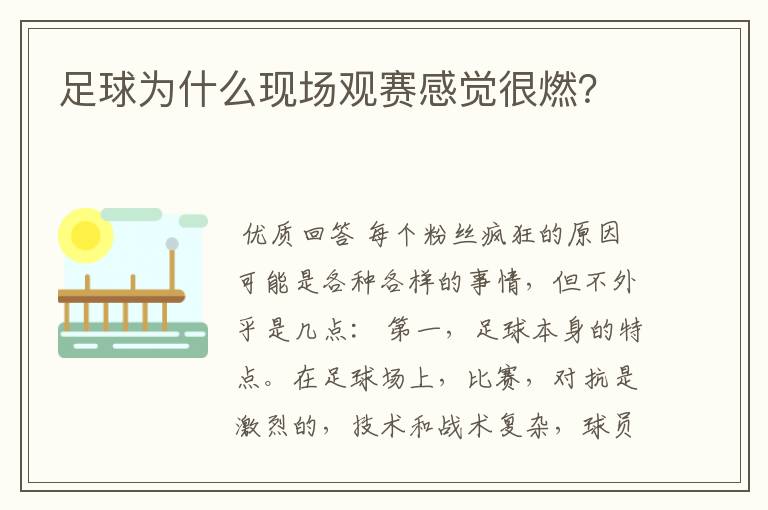 足球为什么现场观赛感觉很燃?