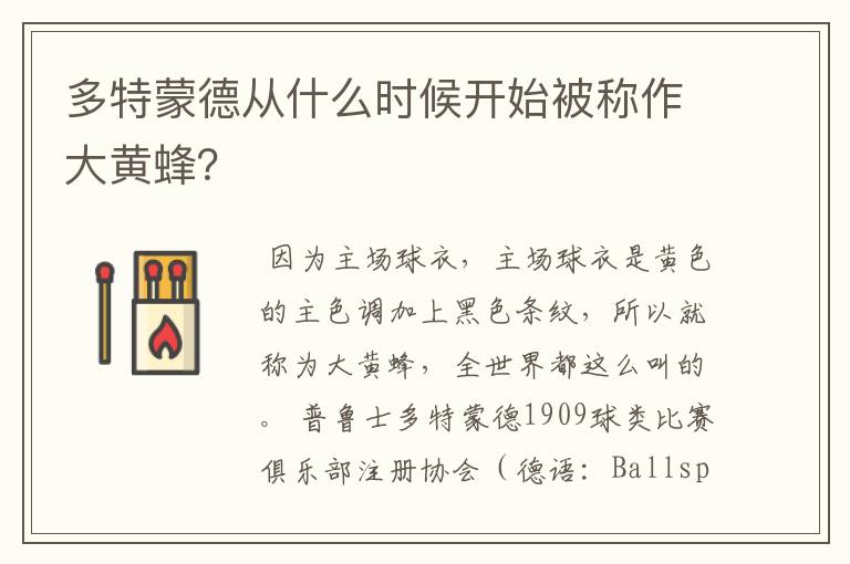 多特蒙德从什么时候开始被称作大黄蜂?
