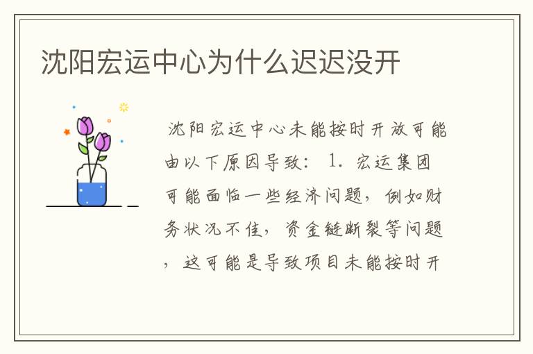 沈阳宏运中心为什么迟迟没开
