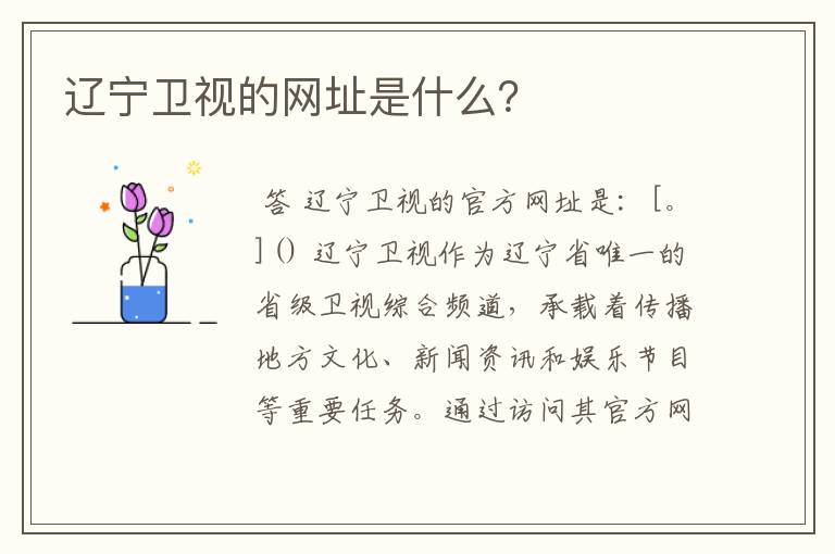 辽宁卫视的网址是什么?