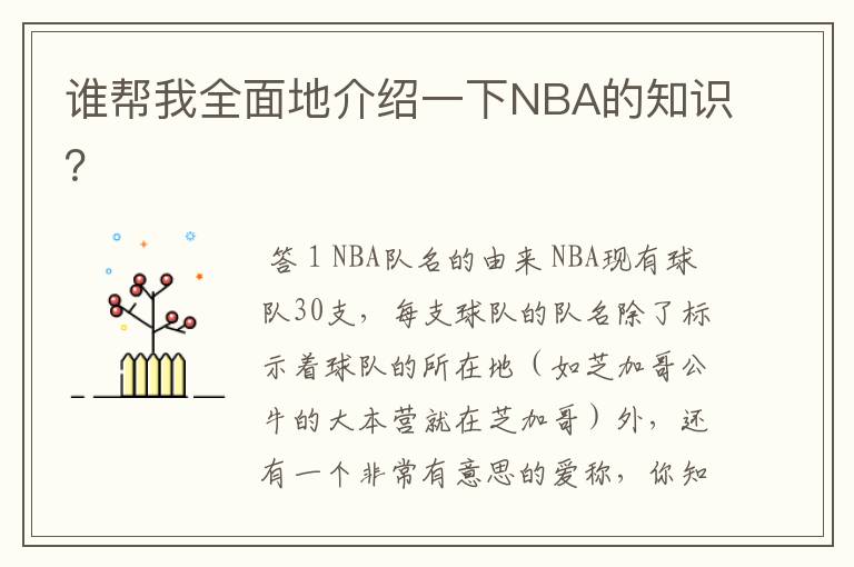 谁帮我全面地介绍一下NBA的知识?