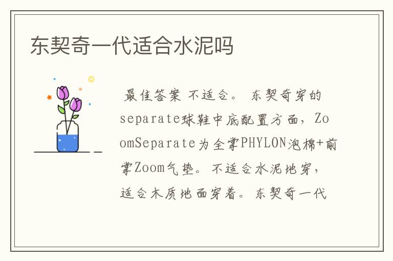 东契奇一代适合水泥吗