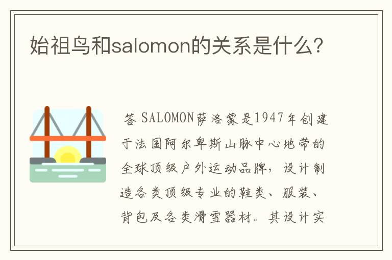始祖鸟和salomon的关系是什么?