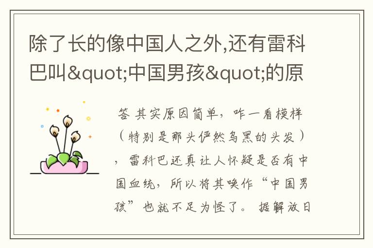 除了长的像中国人之外,还有雷科巴叫"中国男孩"的原因吗?