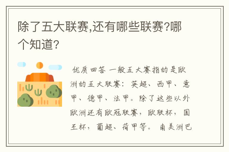 除了五大联赛,还有哪些联赛?哪个知道?