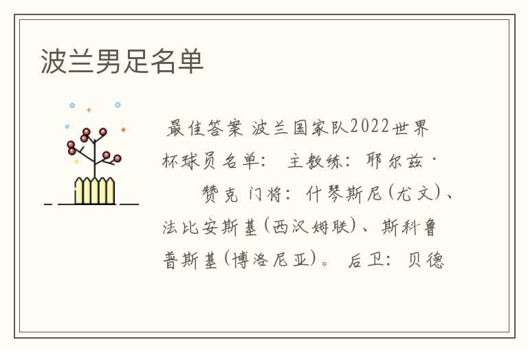 波兰男足名单