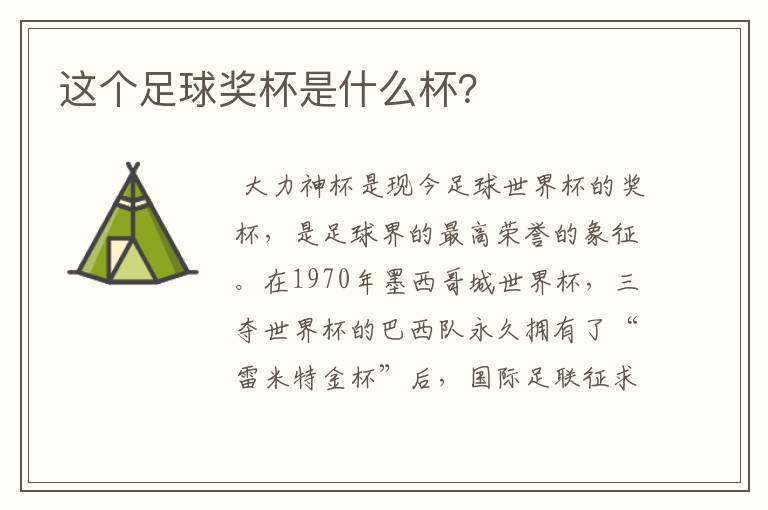 这个足球奖杯是什么杯?
