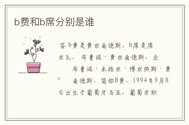 b费和b席分别是谁