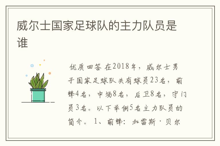 威尔士国家足球队的主力队员是谁