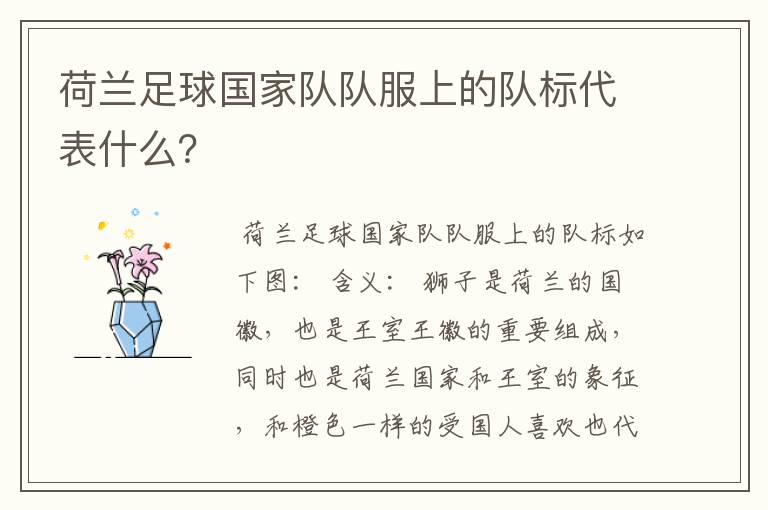 荷兰足球国家队队服上的队标代表什么?