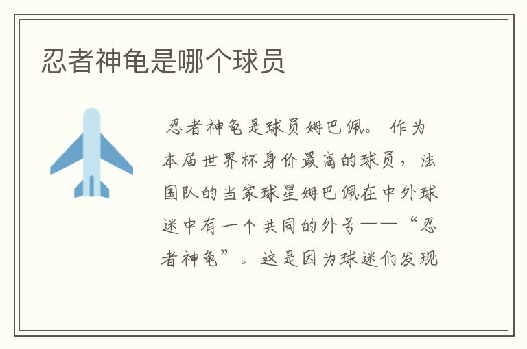 忍者神龟是哪个球员