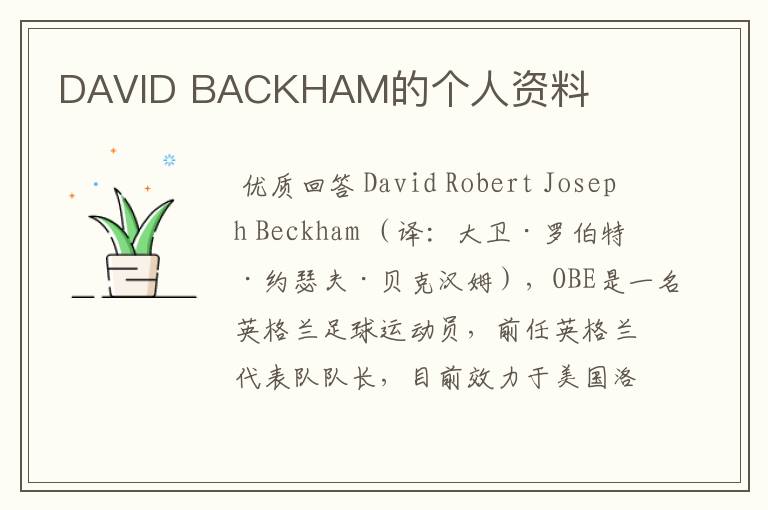 DAVID BACKHAM的个人资料