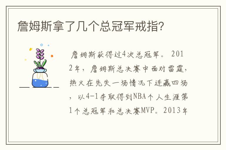 詹姆斯拿了几个总冠军戒指?