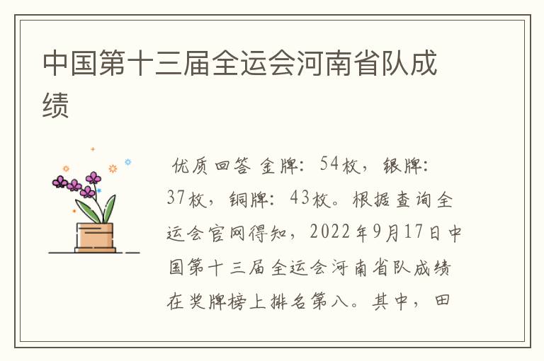 中国第十三届全运会河南省队成绩