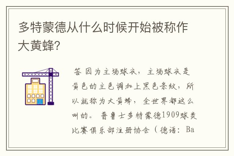 多特蒙德从什么时候开始被称作大黄蜂?