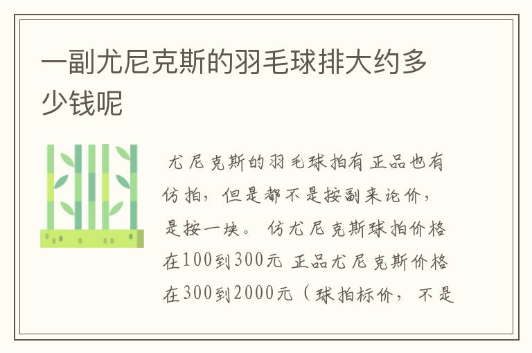 一副尤尼克斯的羽毛球排大约多少钱呢
