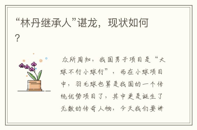 “林丹继承人”谌龙,现状如何?