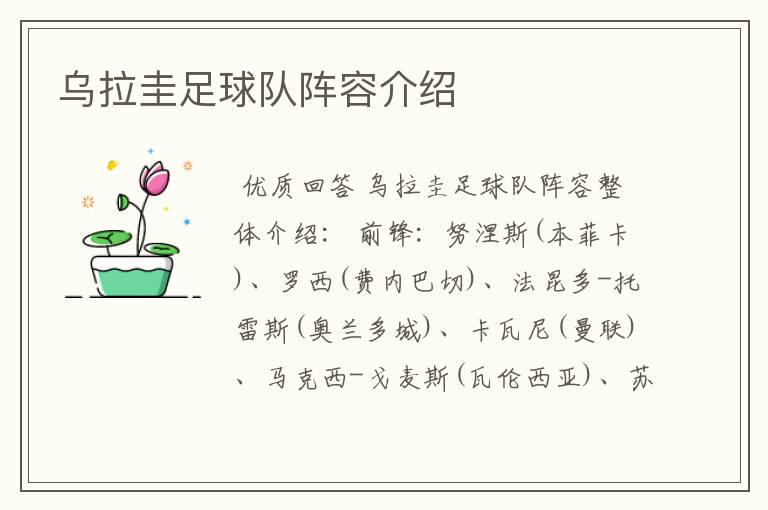 乌拉圭足球队阵容介绍