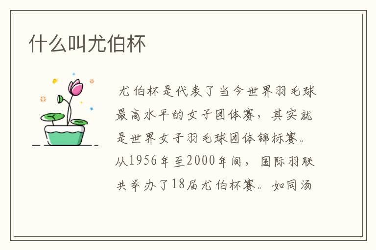什么叫尤伯杯