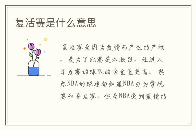 复活赛是什么意思
