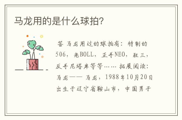 马龙用的是什么球拍?