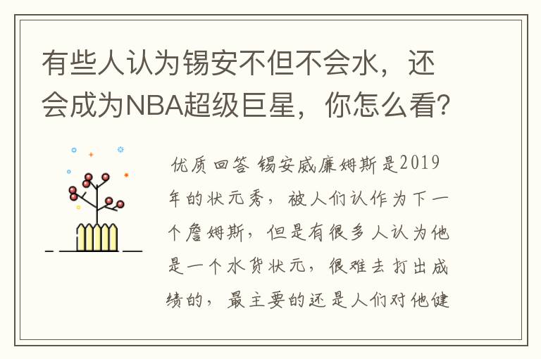 有些人认为锡安不但不会水,还会成为NBA超级巨星,你怎么看?