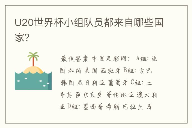 U20世界杯小组队员都来自哪些国家?