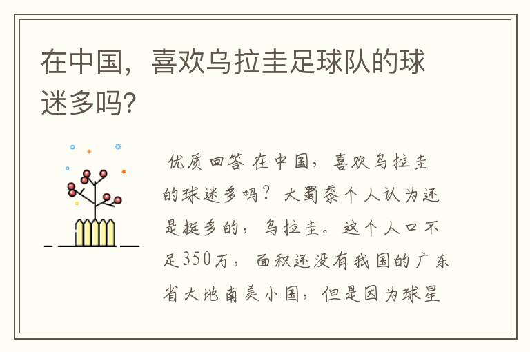 在中国,喜欢乌拉圭足球队的球迷多吗?