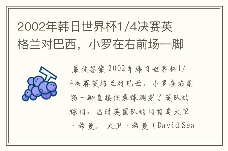 2002年韩日世界杯1/4决赛英格兰对巴西,小罗在右前场一脚直接任意球洞穿了英队的球门,问当时英队的门将是